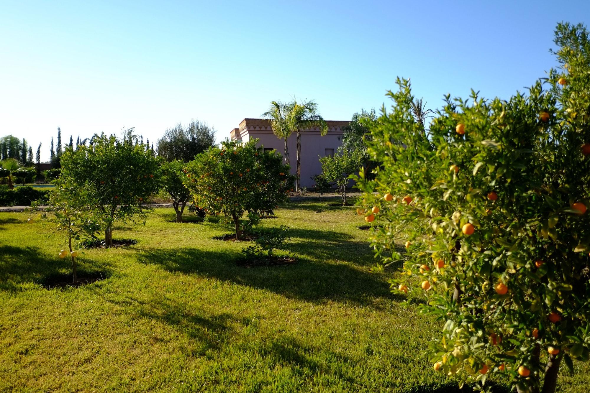 Terra Mia Marrakech Bed & Breakfast Ouled Jelal Exterior foto